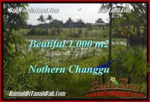FOR SALE Magnificent PROPERTY 1,000 m2 LAND IN CANGGU TJCG180