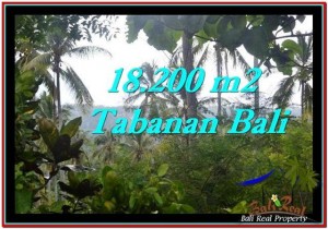 Magnificent PROPERTY LAND SALE IN TABANAN TJTB254