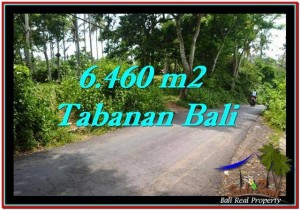Magnificent PROPERTY 6,460 m2 LAND IN Tabanan Selemadeg FOR SALE TJTB256