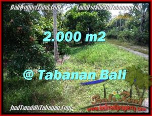 Magnificent LAND FOR SALE IN TABANAN TJTB206