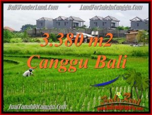 FOR SALE Magnificent PROPERTY 3,380 m2 LAND IN CANGGU BALI TJCG199