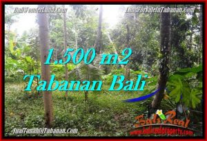 Beautiful PROPERTY Tabanan Penebel 1,500 m2 LAND FOR SALE TJTB279