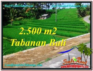 FOR SALE Magnificent LAND IN Tabanan Penebel BALI TJTB305