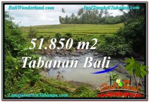 FOR SALE Exotic PROPERTY 51,850 m2 LAND IN TABANAN BALI TJTB289