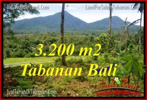 Exotic PROPERTY TABANAN BALI 3,200 m2 LAND FOR SALE TJTB319