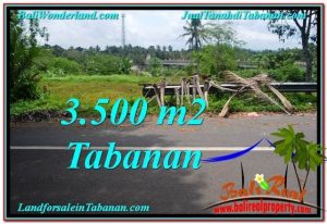 Magnificent PROPERTY 3,500 m2 LAND IN Tabanan Selemadeg FOR SALE TJTB298