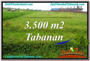 FOR SALE Exotic LAND IN Tabanan Kerambitan BALI TJTB302