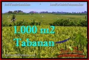 LAND SALE IN Tabanan Selemadeg BALI TJTB266