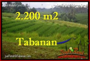 Beautiful PROPERTY LAND FOR SALE IN TABANAN BALI TJTB269