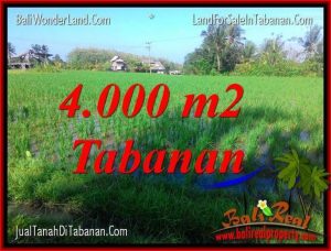 Beautiful PROPERTY 4,000 m2 LAND SALE IN TABANAN TJTB352