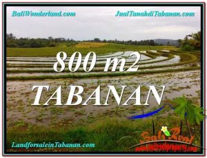 800 m2 LAND IN TABANAN FOR SALE TJTB324