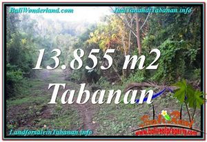 FOR SALE Affordable PROPERTY 13,855 m2 LAND IN Tabanan Selemadeg TJTB335
