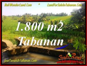 FOR SALE Exotic 1,800 m2 LAND IN TABANAN BALI TJTB338