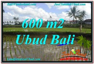 FOR SALE Affordable LAND IN Ubud Pejeng BALI TJUB621