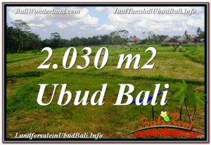 Magnificent LAND FOR SALE IN UBUD TJUB623