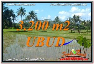 FOR SALE Exotic PROPERTY 3,200 m2 LAND IN UBUD BALI TJUB628