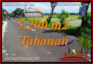 Beautiful xPROPERTY LAND FOR SALE IN TABANAN BALI TJTB351