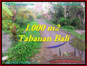 Exotic PROPERTY LAND SALE IN TABANAN TJTB242