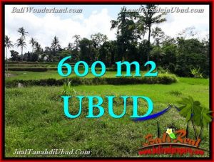 FOR SALE Beautiful 600 m2 LAND IN UBUD BALI TJUB657