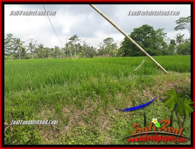 Magnificent 1,200 m2 Land in Ubud Tegalalang for sale TJUB693