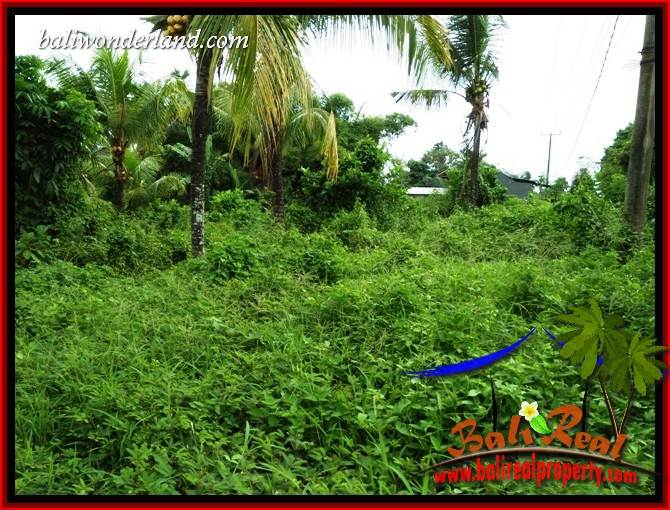 FOR sale Magnificent Property 4,500 m2 Land in Tabanan Selemadeg TJTB395