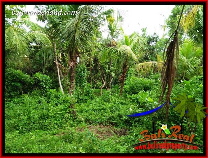 FOR sale Magnificent Property 4,500 m2 Land in Tabanan Selemadeg TJTB395