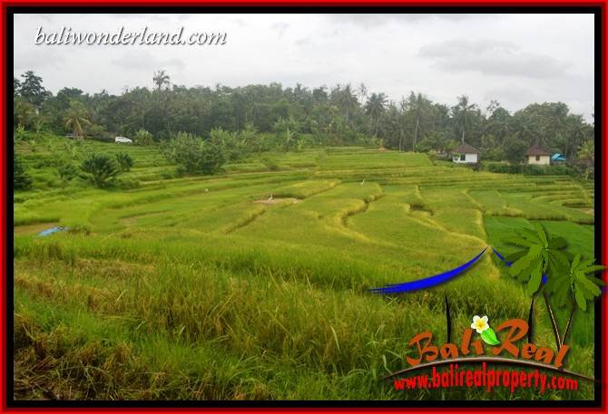Beautiful Property Land in Tabanan Bali for sale TJTB396
