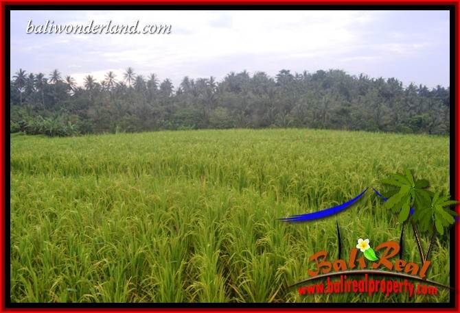 Tabanan Selemadeg Bali Land for sale TJTB402