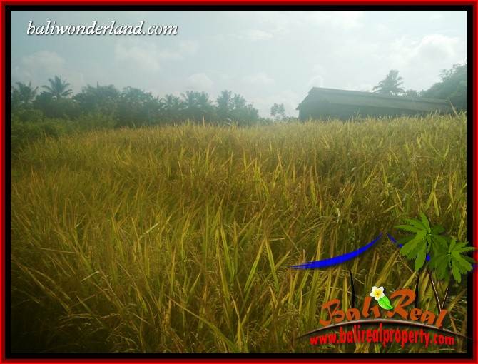 Tabanan Kerambitan Bali Land for sale TJTB407