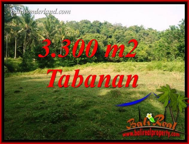 3,300 m2 Land in Tabanan Bali for sale TJTB413