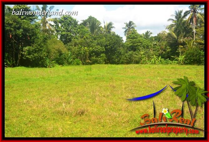 Magnificent Land in Tabanan for sale TJTB417
