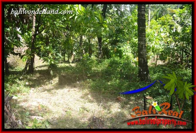 Magnificent Property Land for sale in Tabanan Bali TJTB418