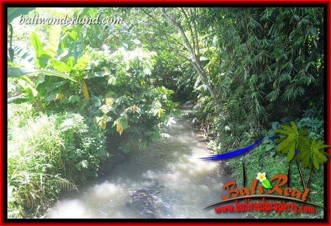 Magnificent Property Land for sale in Tabanan Bali TJTB418