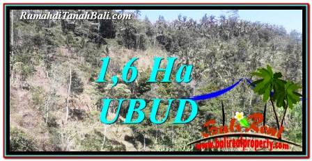 Beautiful PROPERTY LAND IN UBUD BALI FOR SALE TJUB748
