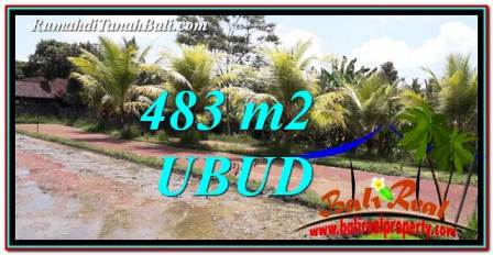 Affordable PROPERTY 483 m2 LAND FOR SALE IN Ubud Pejeng TJUB752