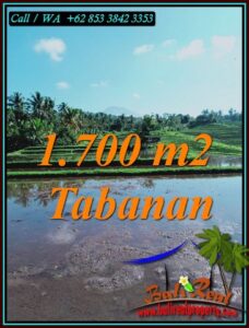 Affordable PROPERTY LAND IN SELEMADEG TABANAN FOR SALE TJTB450
