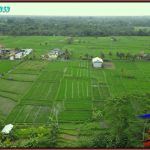 3,500 m2 LAND FOR SALE IN Marga Tabanan BALI TJTB577