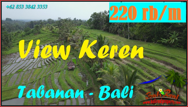 Magnificent LAND SALE IN TABANAN BALI