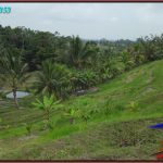 Magnificent LAND SALE IN TABANAN BALI