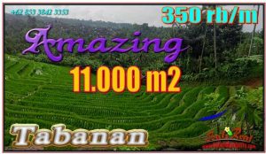 11,000 m2 LAND FOR SALE IN Pupuan Tabanan BALI TJTB556