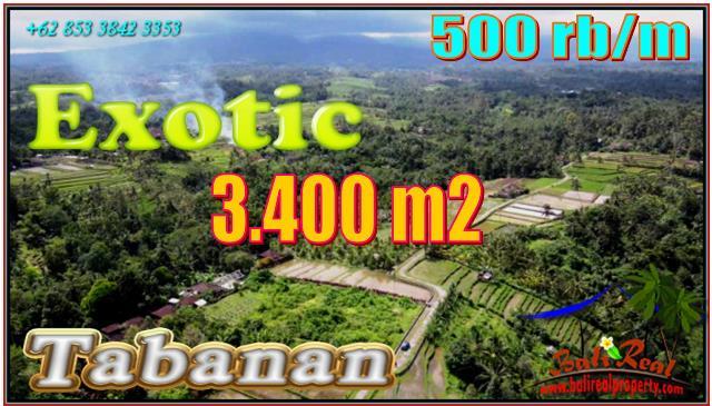 Affordable LAND FOR SALE IN TABANAN BALI TJTB557