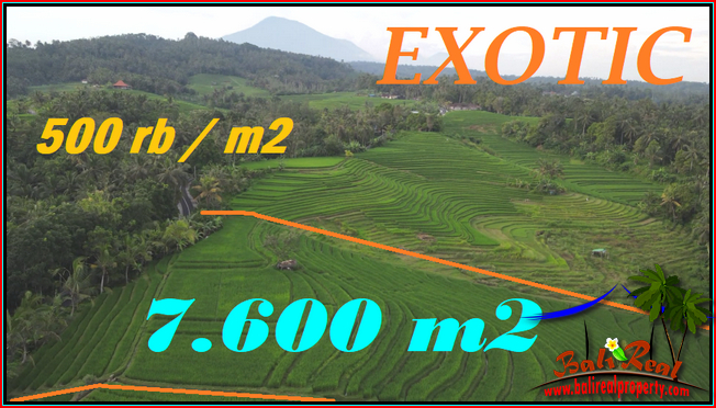 Beautiful LAND IN Selemadeg Timur Tabanan FOR SALE TJTB570