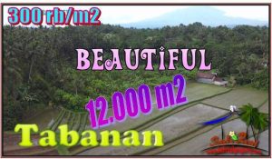 Magnificent TABANAN BALI LAND FOR SALE TJTB554