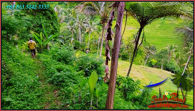 Cheap property LAND IN Pupuan Tabanan FOR SALE TJTB555