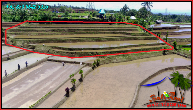 Affordable 2,200 m2 LAND IN Pupuan Tabanan BALI FOR SALE TJTB542
