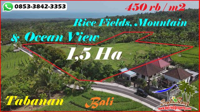 Affordable PROPERTY LAND IN Selemadeg Barat Tabanan FOR SALE TJTB600