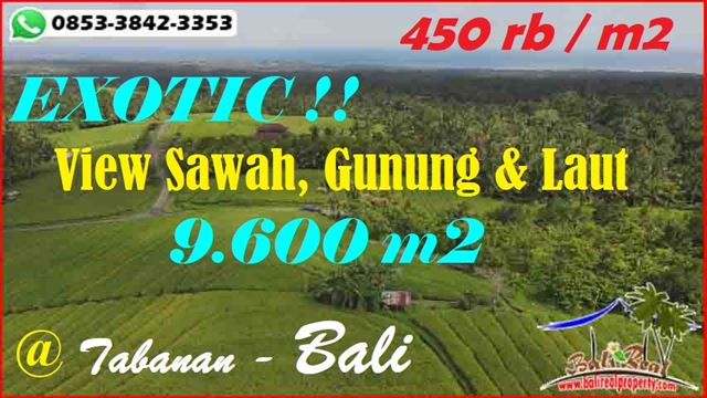 Magnificent 9,600 m2 LAND IN Selemadeg Barat Tabanan BALI FOR SALE TJTB601