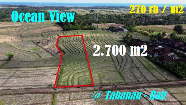 Affordable 2,700 m2 LAND FOR SALE IN Selemadeg Timur Tabanan BALI TJTB609