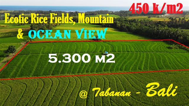 Cheap property LAND IN Selemadeg Tabanan FOR SALE TJTB610
