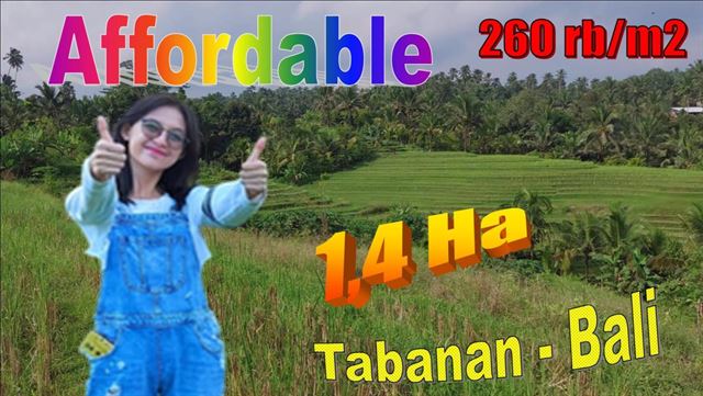 Exotic 14,200 m2 LAND FOR SALE IN Selemadeg Timur Tabanan BALI TJTB621